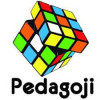 Pedagoji Yayınları