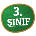 Deneme Sınavı